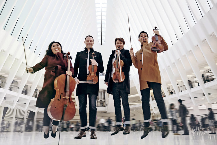 Calidore Quartet, string quartet, violin, viola, cello