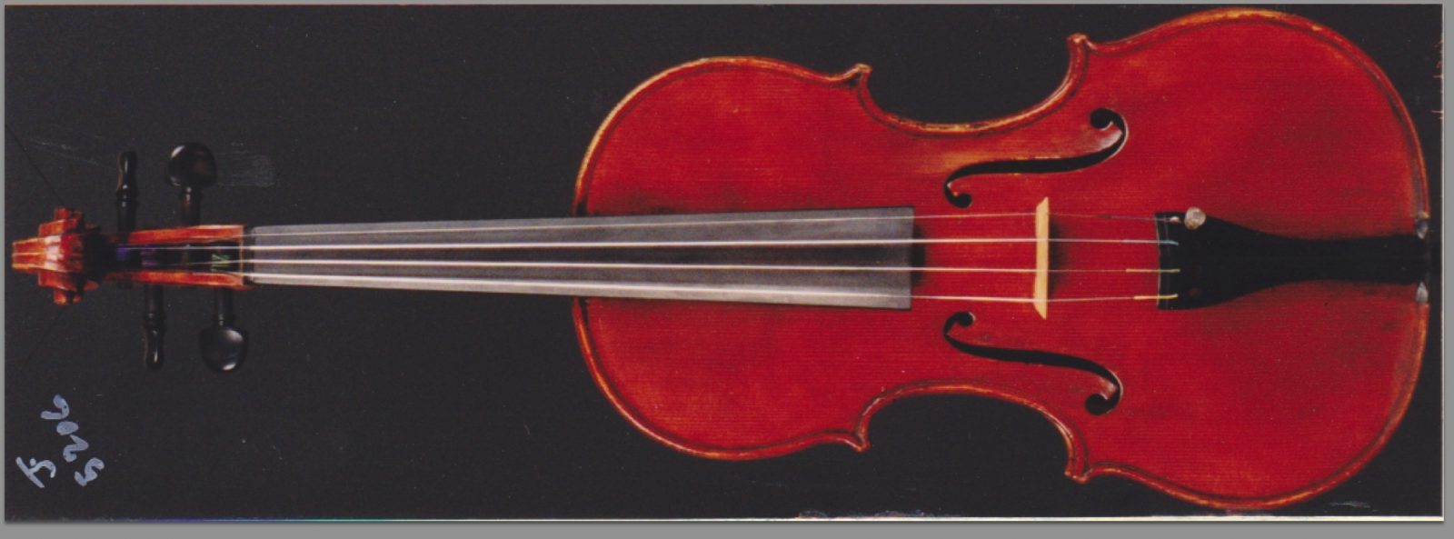 Stolen Violin Georgetown Washington Gaetano Sgarabotto