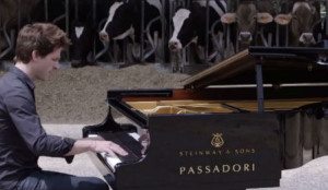 Cow Milk Mondomusica Cremona Cover