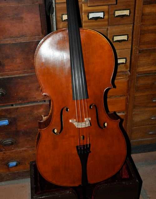 The most deals expensive cello