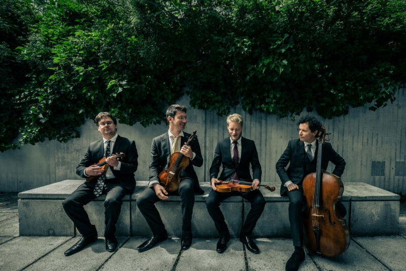 New Violinists Join Navarra String Quartet - image attachment